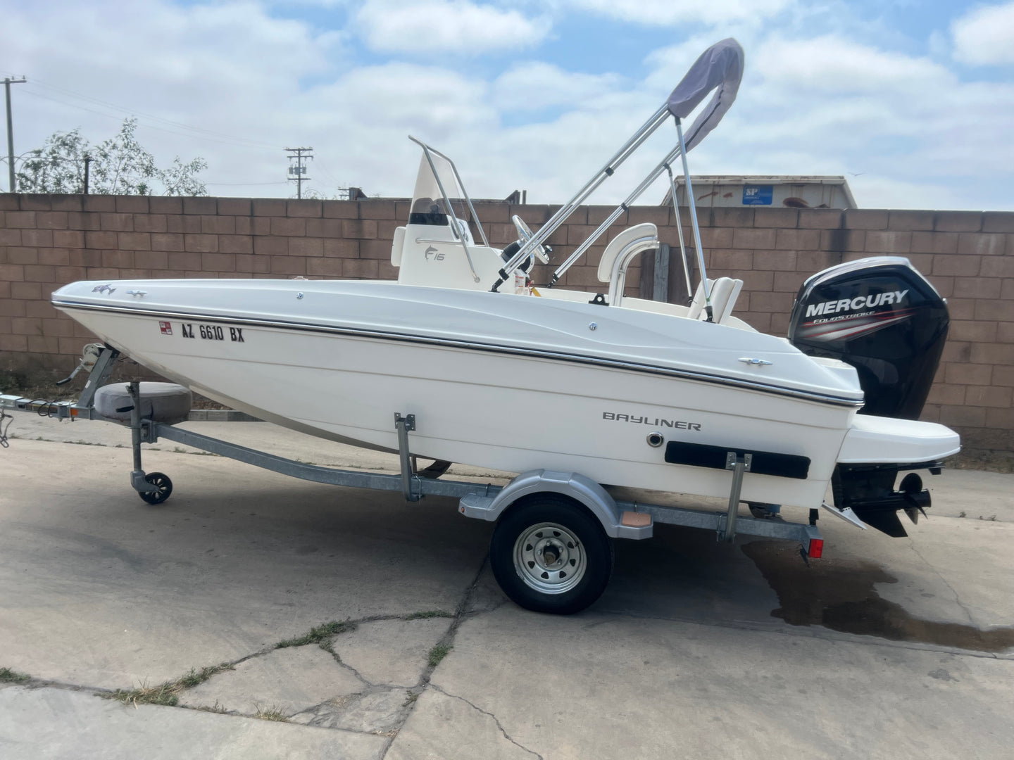 2017 Bayliner Element F-16 Center Console (SOLD)